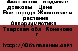 Аксолотли / водяные драконы › Цена ­ 500 - Все города Животные и растения » Аквариумистика   . Тверская обл.,Конаково г.